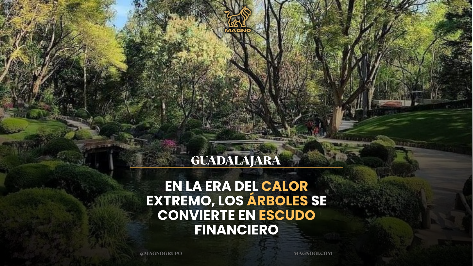 En la era del calor extremo, el arbolado se convierte en escudo financiero