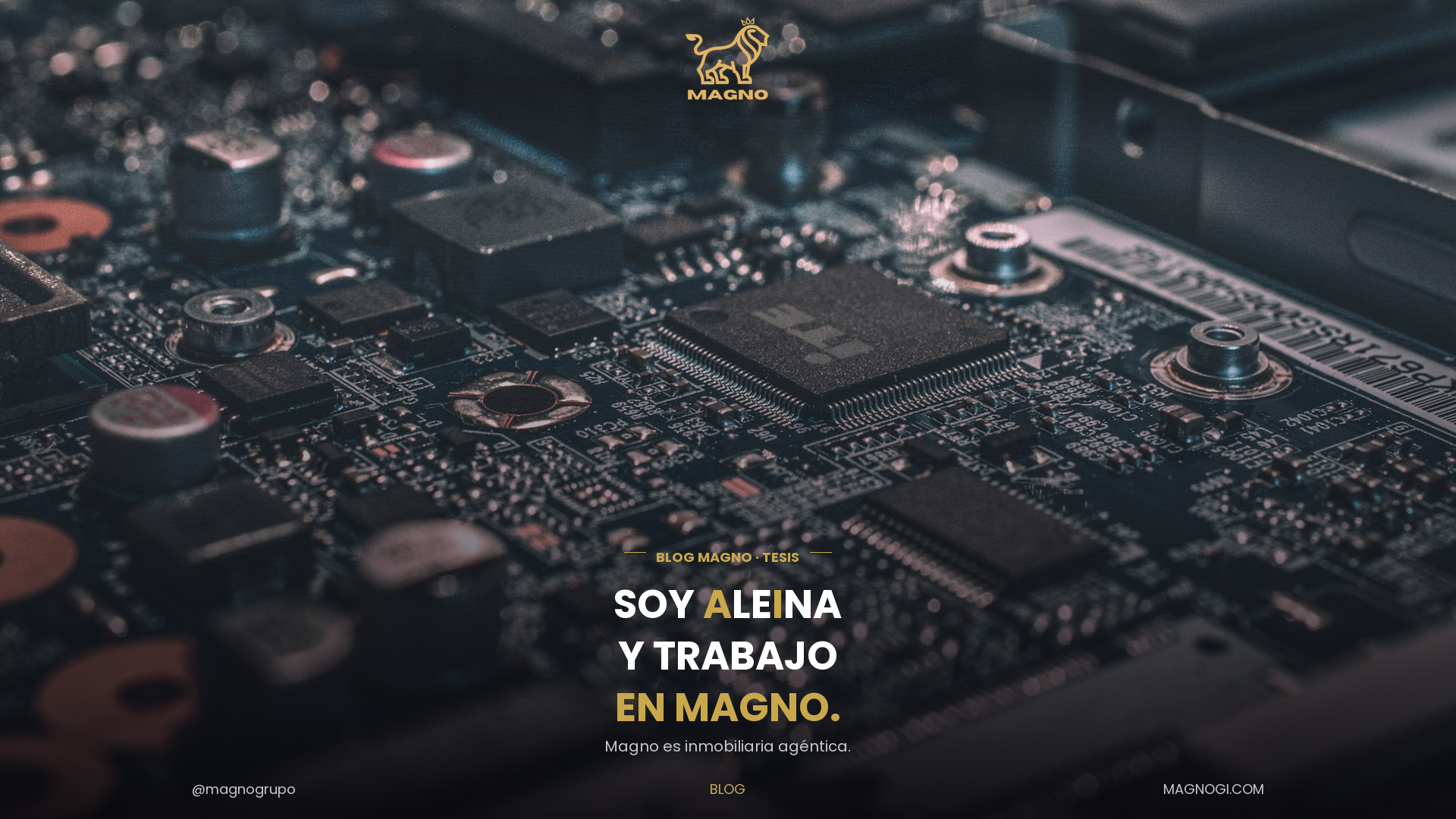 Soy Aleina y trabajo en Magno